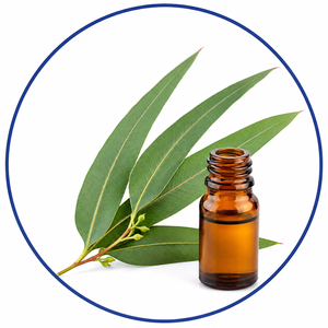 Eucalyptus Oil