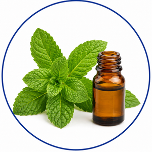 Mentha Oil