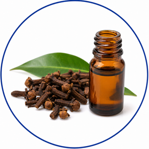 Clove Oil