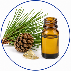 Turpentine Oil